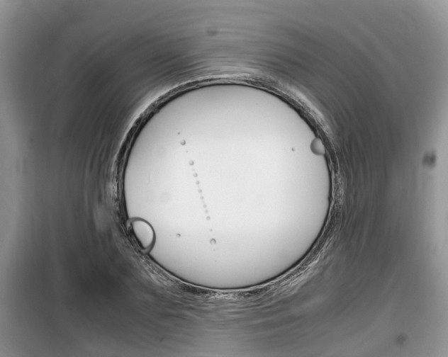 X0000100190883200805300722