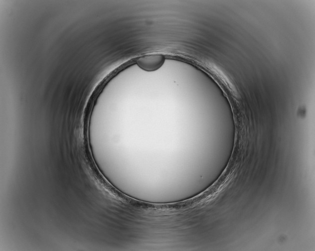 X0000100190884200805300722