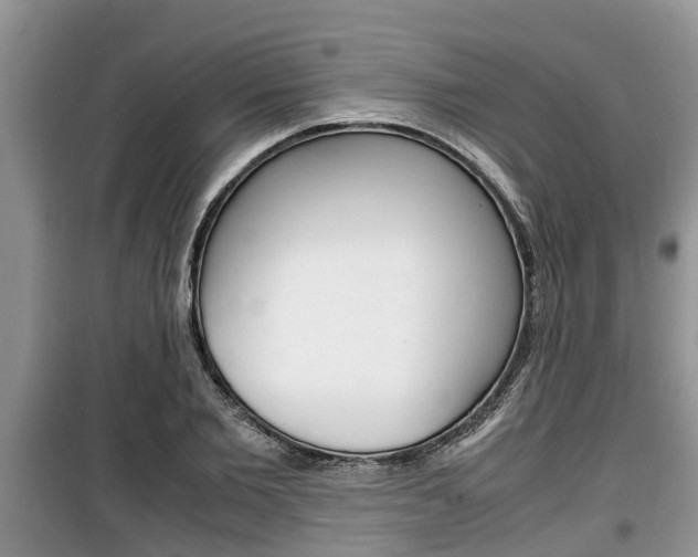 X0000100190885200805300722