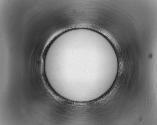 X0000100190886200805300722