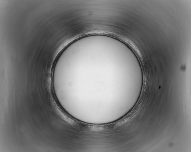 X0000100190890200805300722