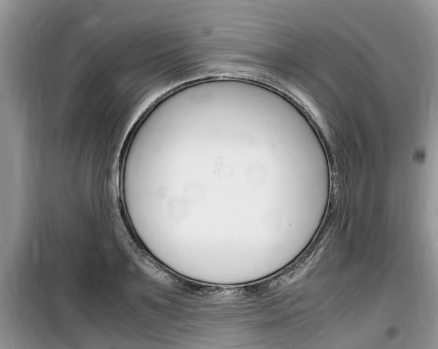 X0000100190891200805300722