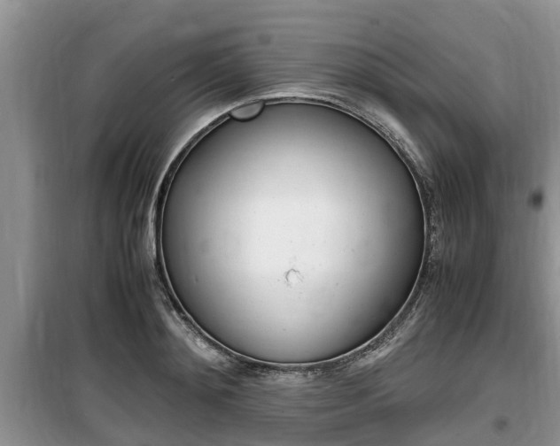 X0000100190892200805300722