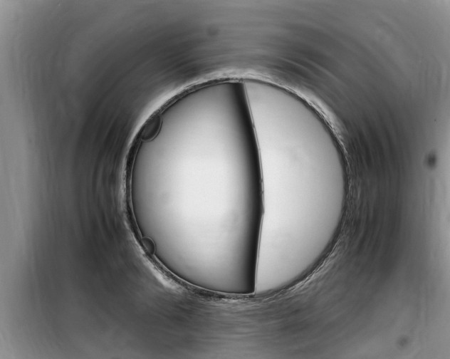 X0000100190894200805300722
