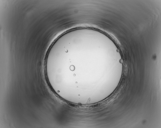 X0000100190895200805300722