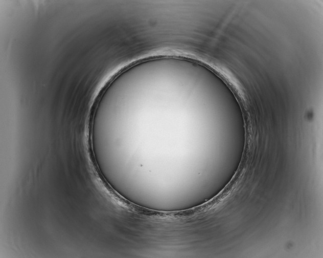 X0000100190896200805300722