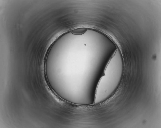 X0000100190898200805300722