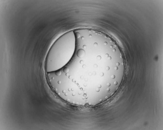 X0000100190899200805300722