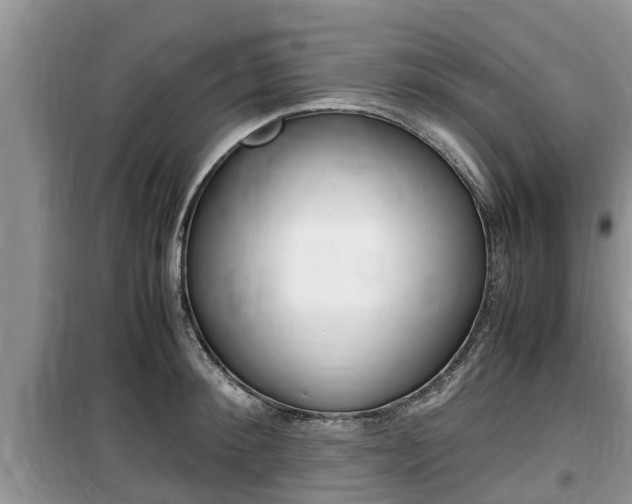 X0000100190900200805300722