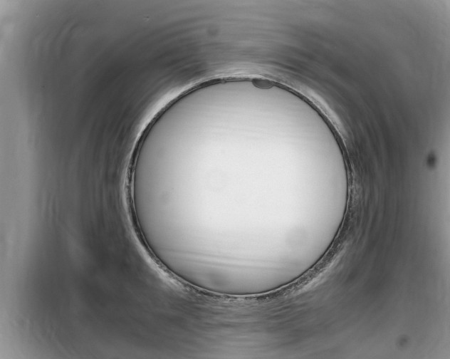 X0000100190901200805300722