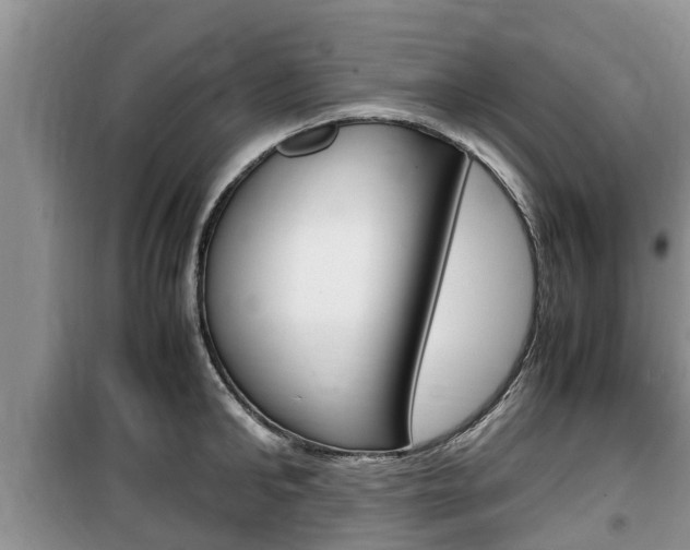 X0000100190902200805300722