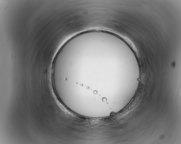 X0000100190903200805300722
