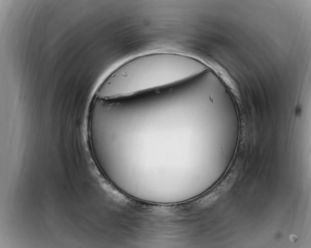 X0000100190904200805300722