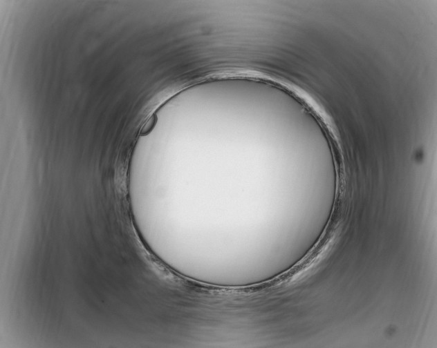 X0000100190905200805300722
