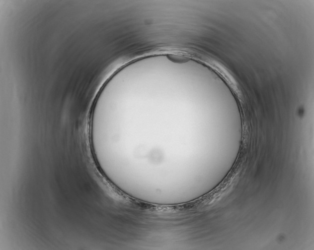 X0000100190907200805300722