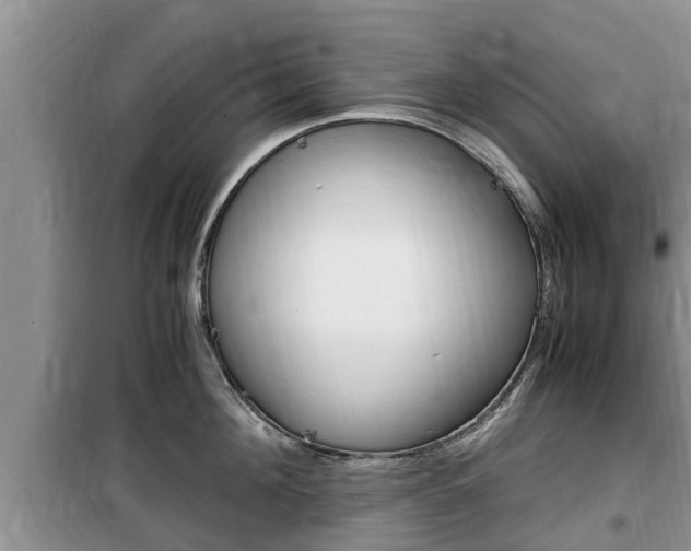 X0000100190908200805300722