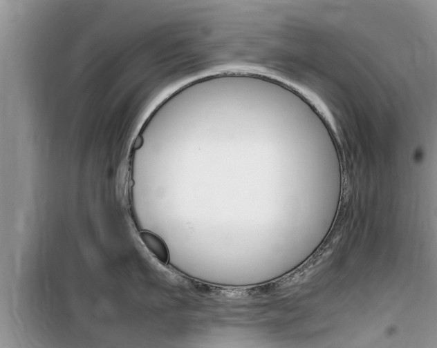X0000100190911200805300722
