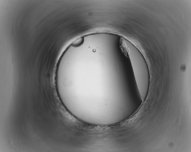 X0000100190912200805300722