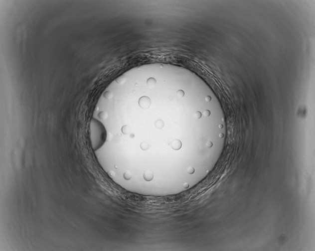 X0000100190913200805300721