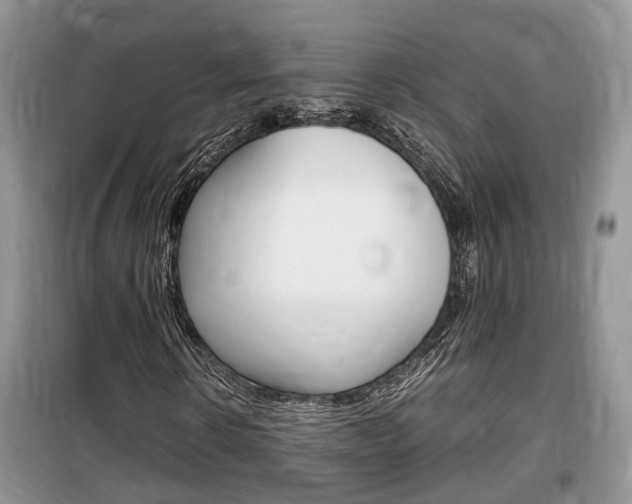 X0000100190914200805300721