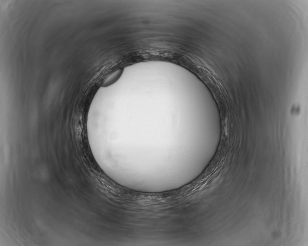 X0000100190915200805300721