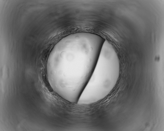 X0000100190917200805300721
