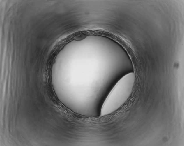 X0000100190920200805300721