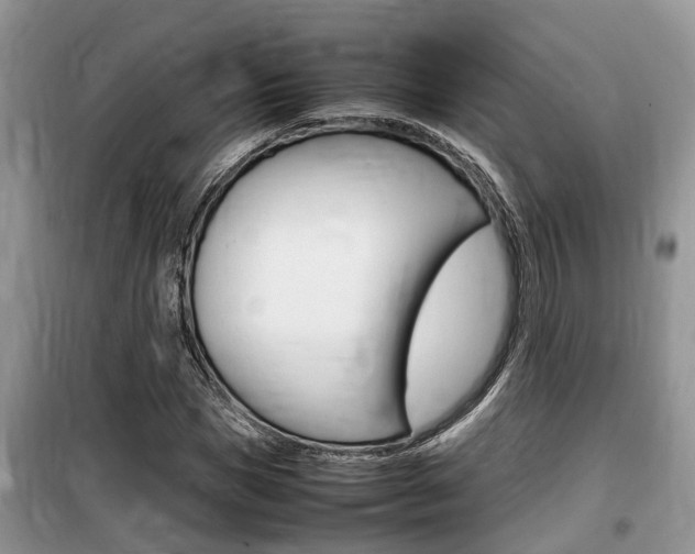 X0000100190921200805300721