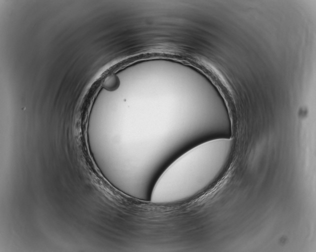 X0000100190923200805300721