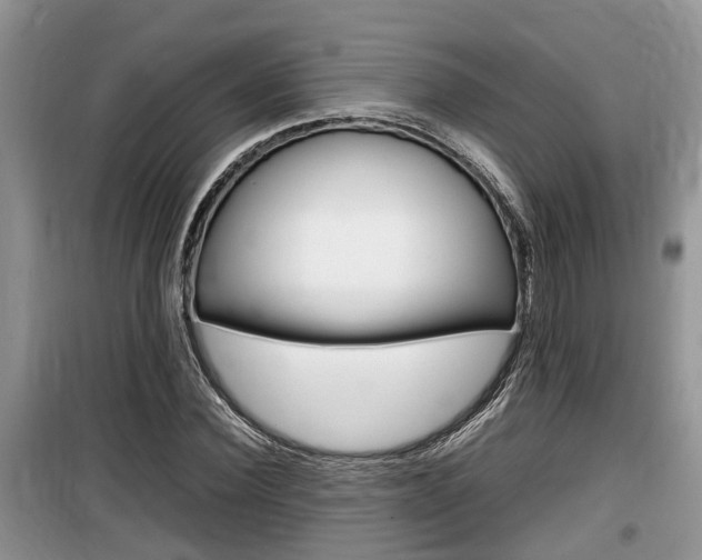 X0000100190924200805300721