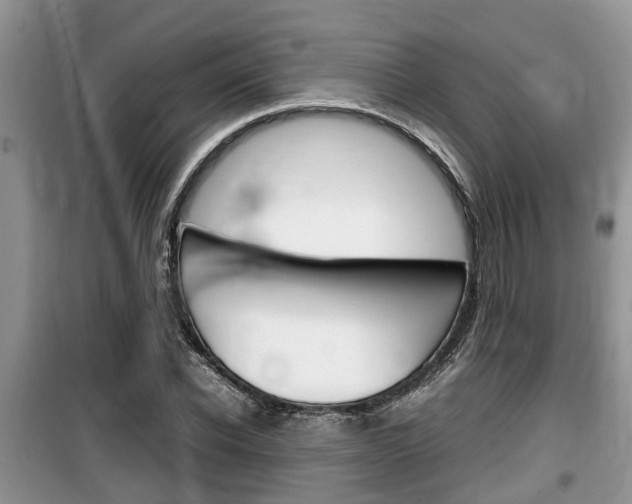 X0000100190926200805300721