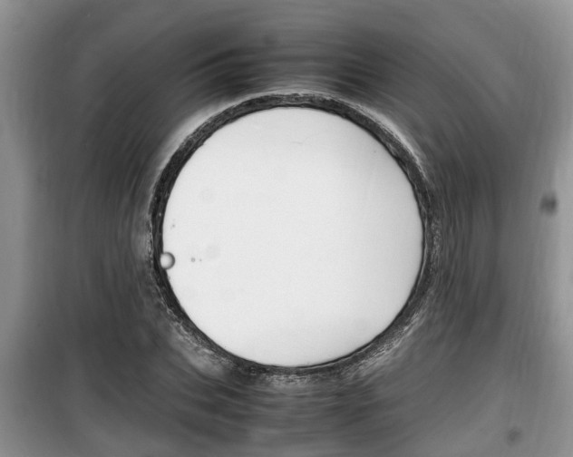 X0000100190927200805300721