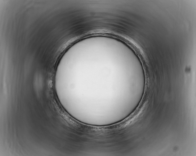 X0000100190929200805300721