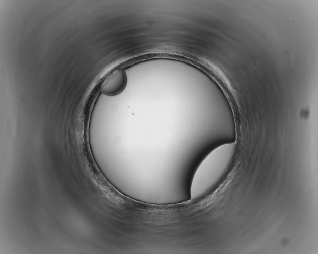 X0000100190931200805300721