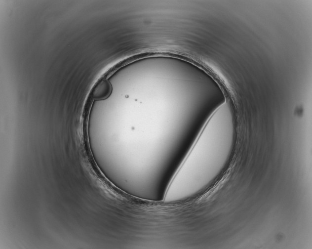 X0000100190932200805300721