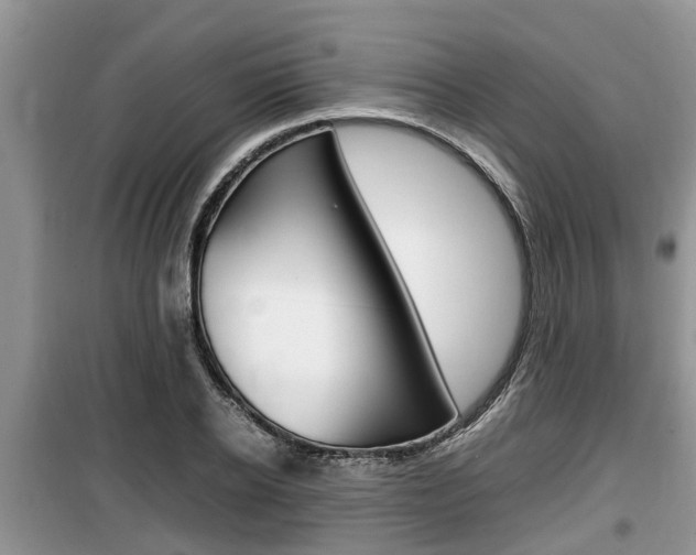 X0000100190934200805300721