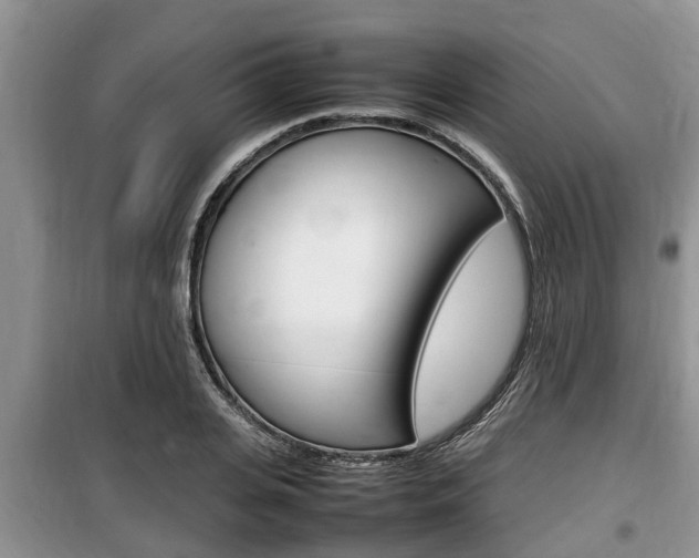 X0000100190935200805300721
