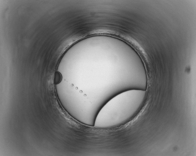 X0000100190937200805300721