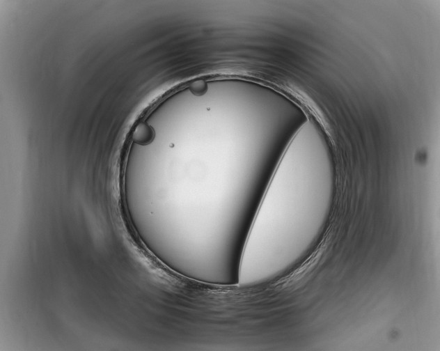 X0000100190939200805300721