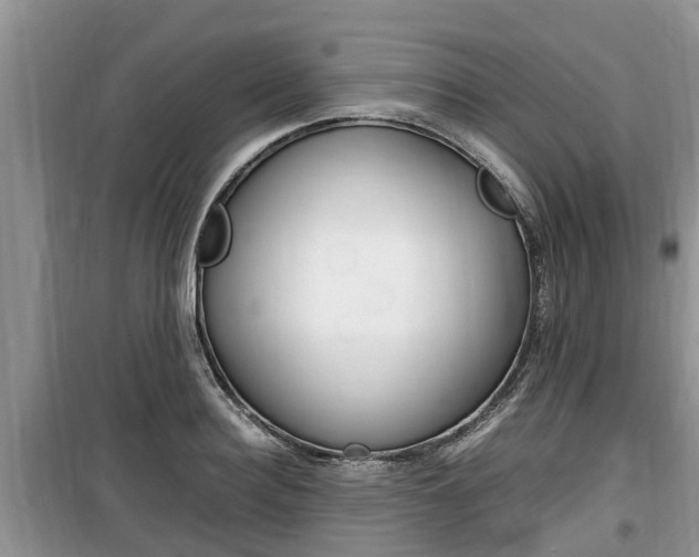 X0000100190940200805300721