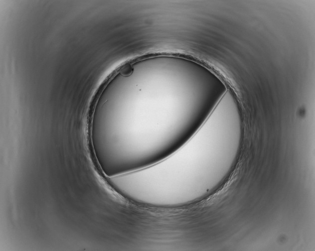 X0000100190942200805300721