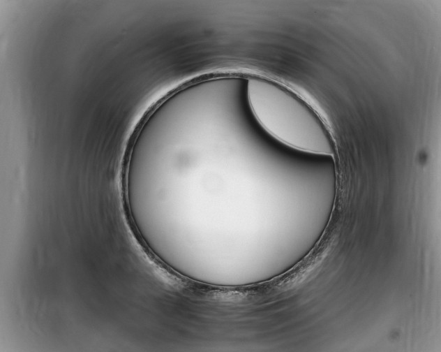 X0000100190943200805300721