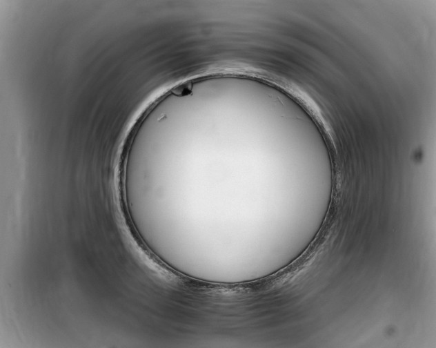 X0000100190947200805300721