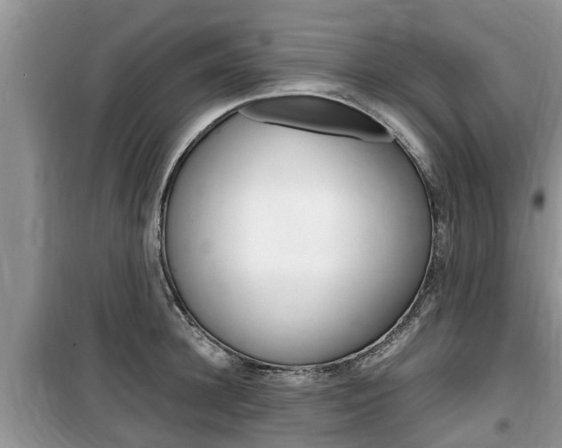X0000100190948200805300721