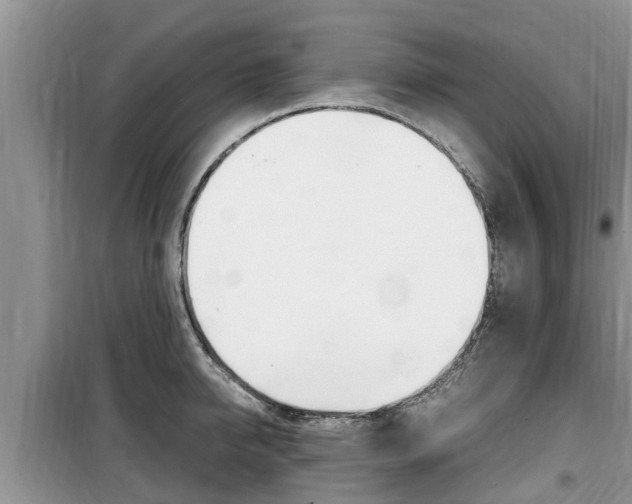 X0000100190950200805300721