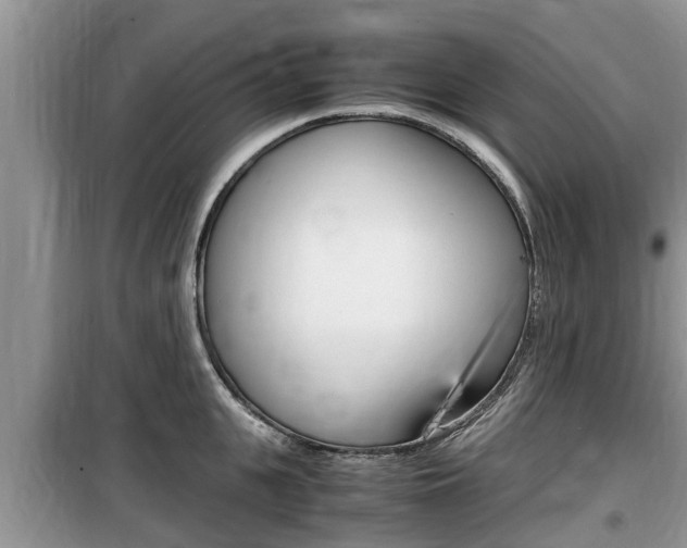 X0000100190951200805300721