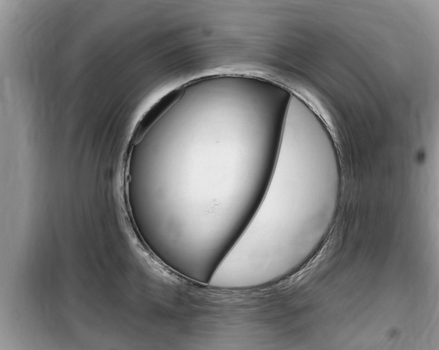 X0000100190952200805300721