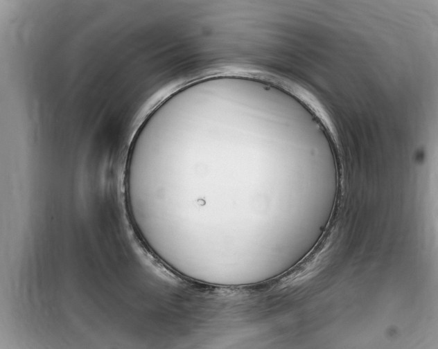 X0000100190954200805300721