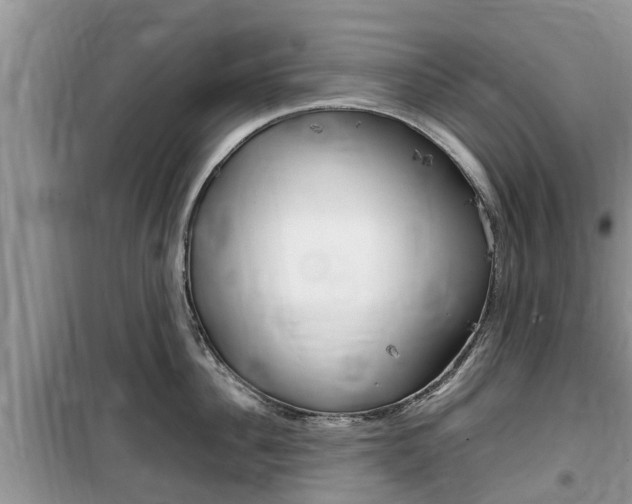 X0000100190956200805300721