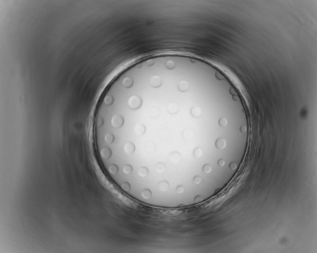 X0000100190957200805300721